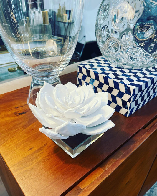 White Succulent Sculpture