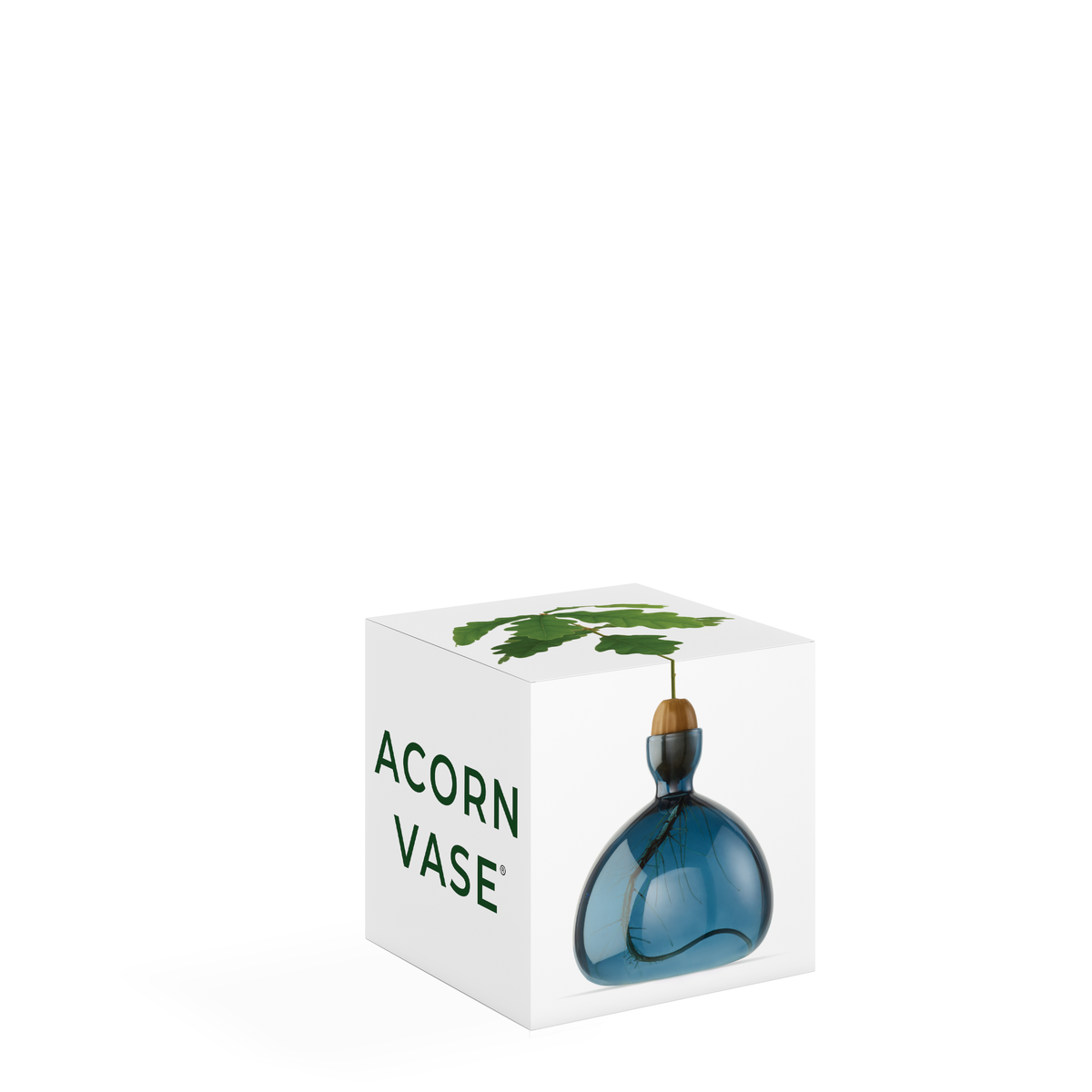 Acorn Vase Blue Jay