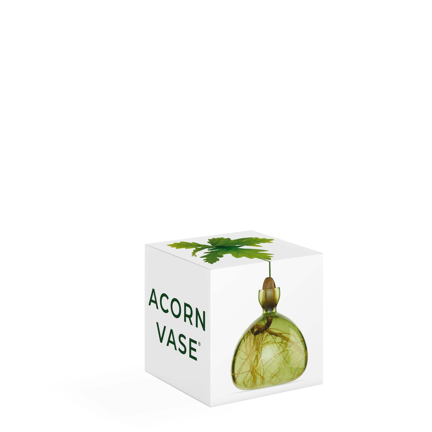 Acorn Vase Grass Green