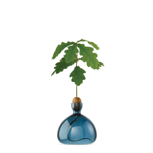 Acorn Vase Blue Jay