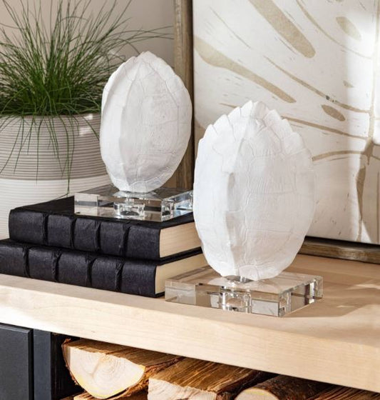 Turtle Shells On Crystal (Set of 2)