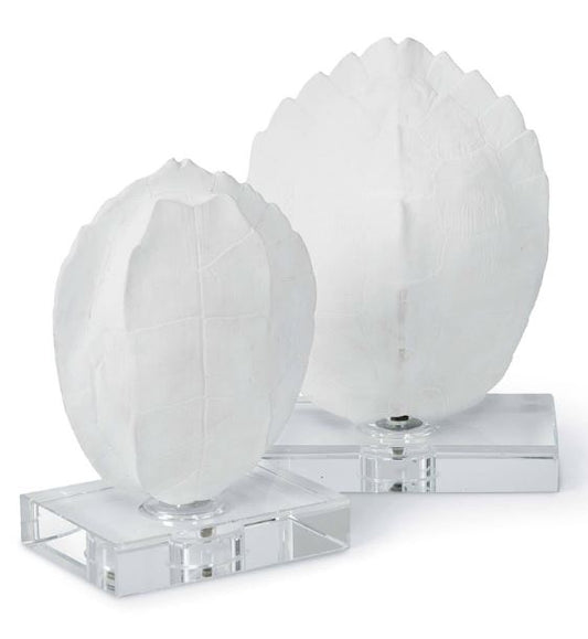 Turtle Shells On Crystal (Set of 2)
