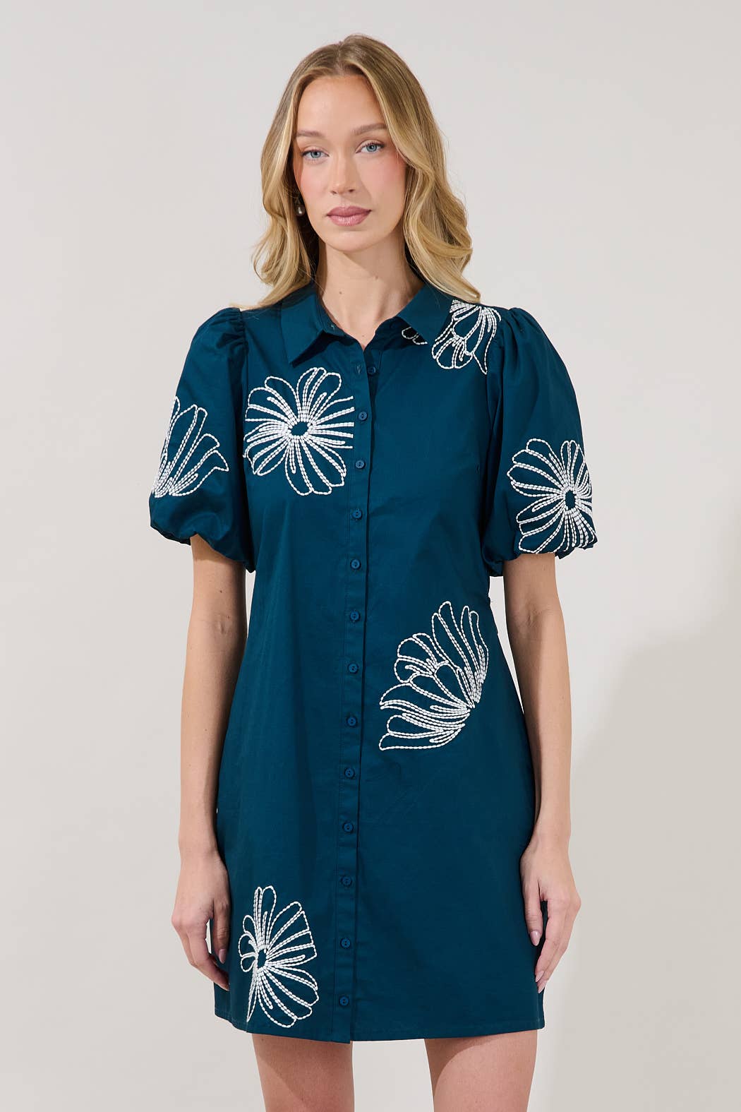 Aurely Embroidery Mini Dress