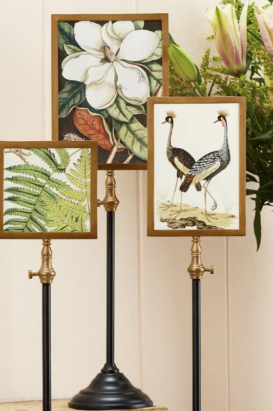 Double Sided Photo Frames on Telescoping Pole