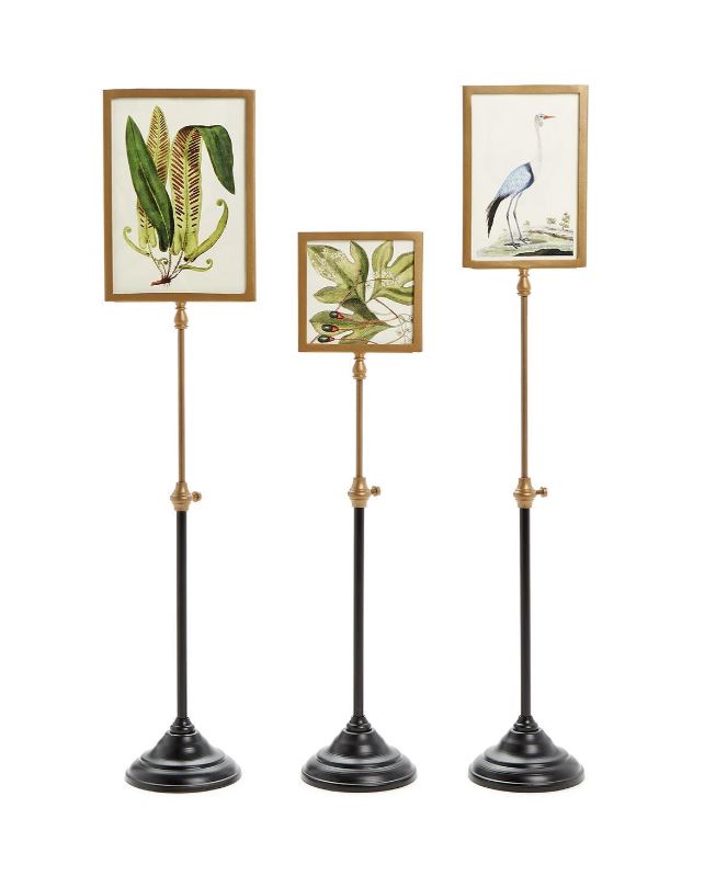 Double Sided Photo Frames on Telescoping Pole
