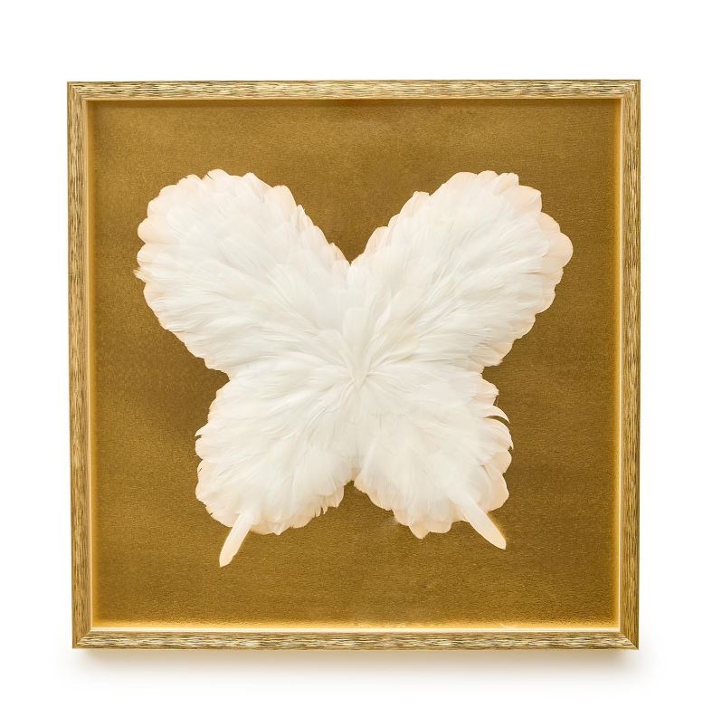 Butterfly in Feathers Shadow Box Wall Art