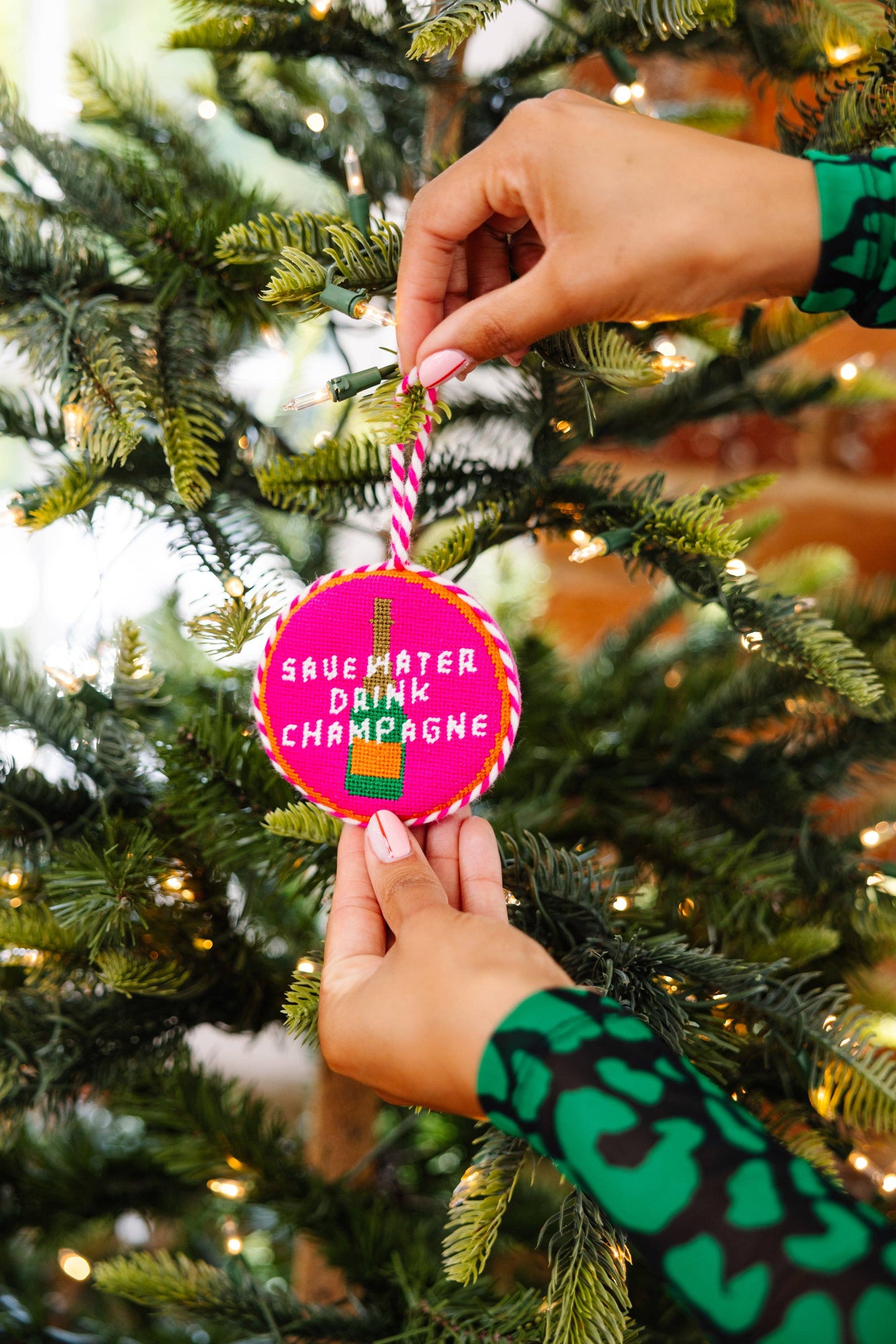 Needlepoint Ornament - Save Water