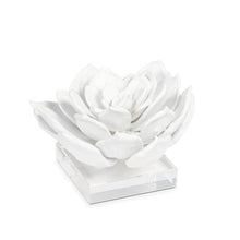 Load image into Gallery viewer, White Succulent Sculpture
