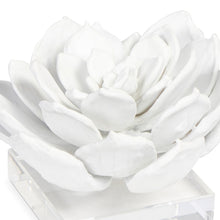 Load image into Gallery viewer, White Succulent Sculpture
