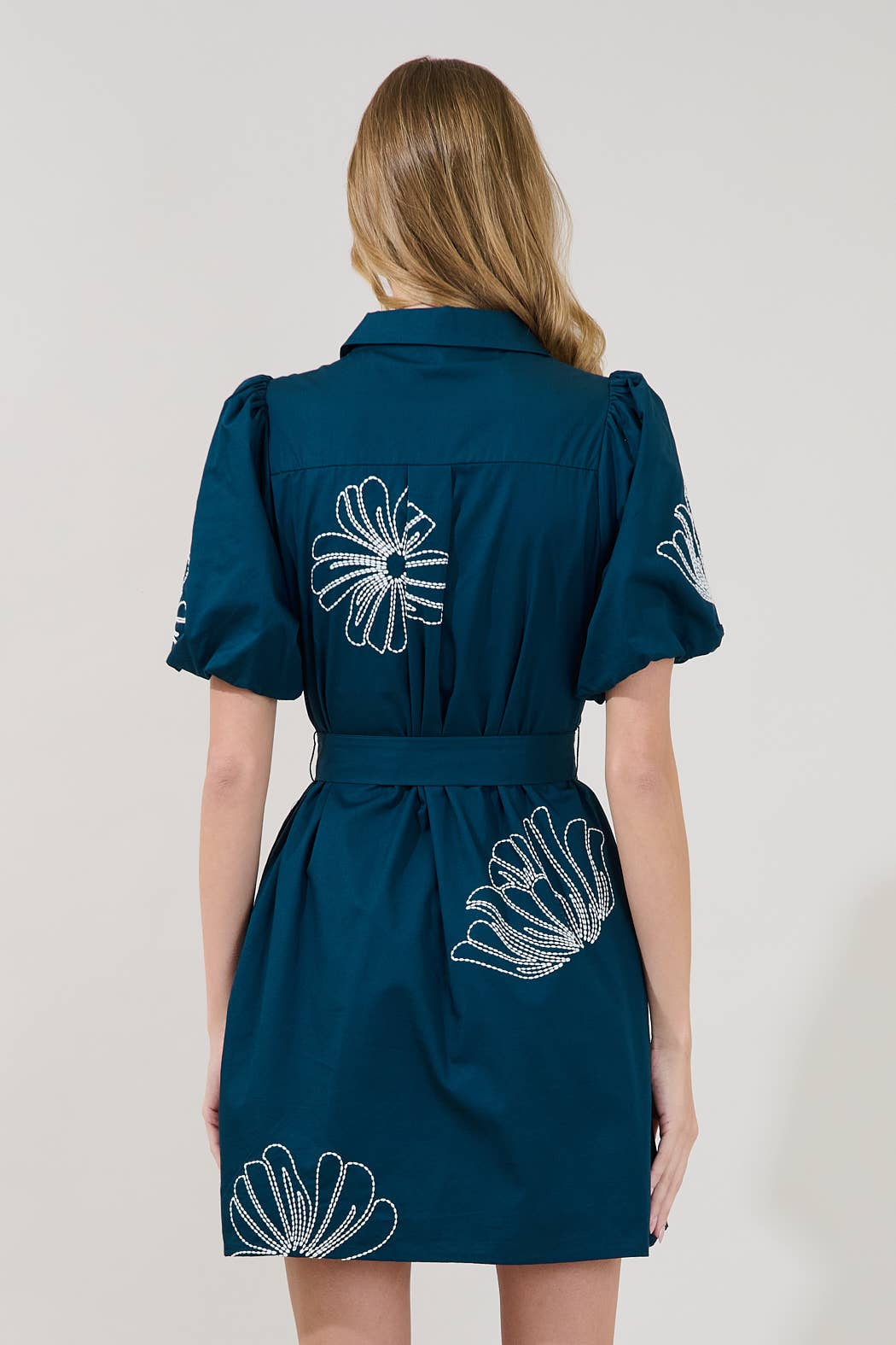 Aurely Embroidery Mini Dress