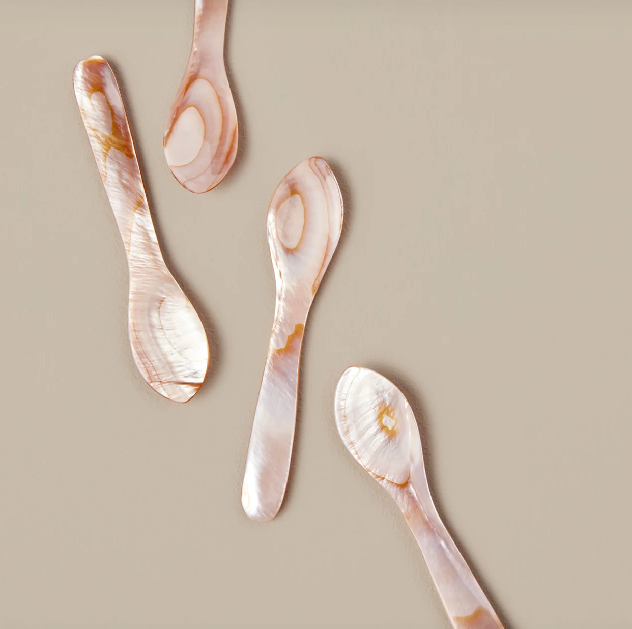 Brown Large Seashell Spoons, Set of 4