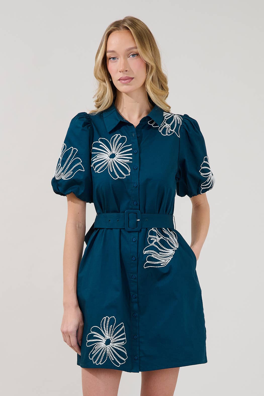 Aurely Embroidery Mini Dress