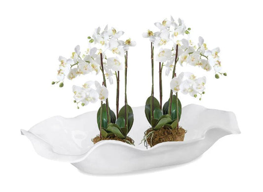 VIDA Havana Extra Large Oval