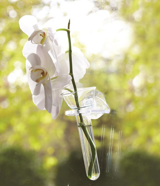 Wall Flowers Vase in Gift Box - Acrylic/Glass