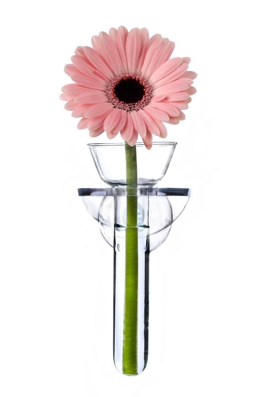 Wall Flowers Vase in Gift Box - Acrylic/Glass
