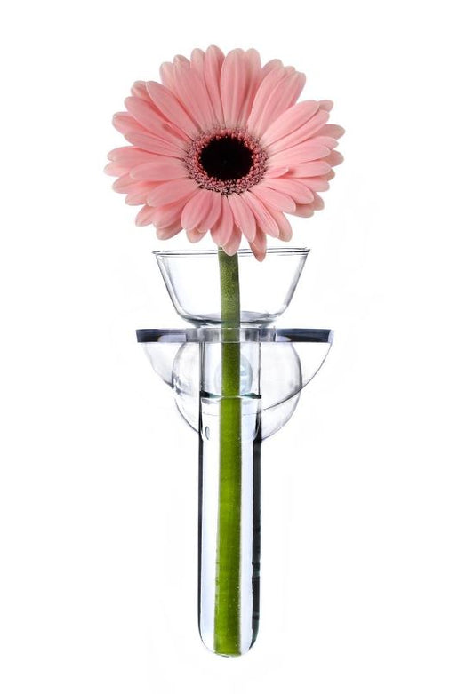 Wall Flowers Vase in Gift Box - Acrylic/Glass