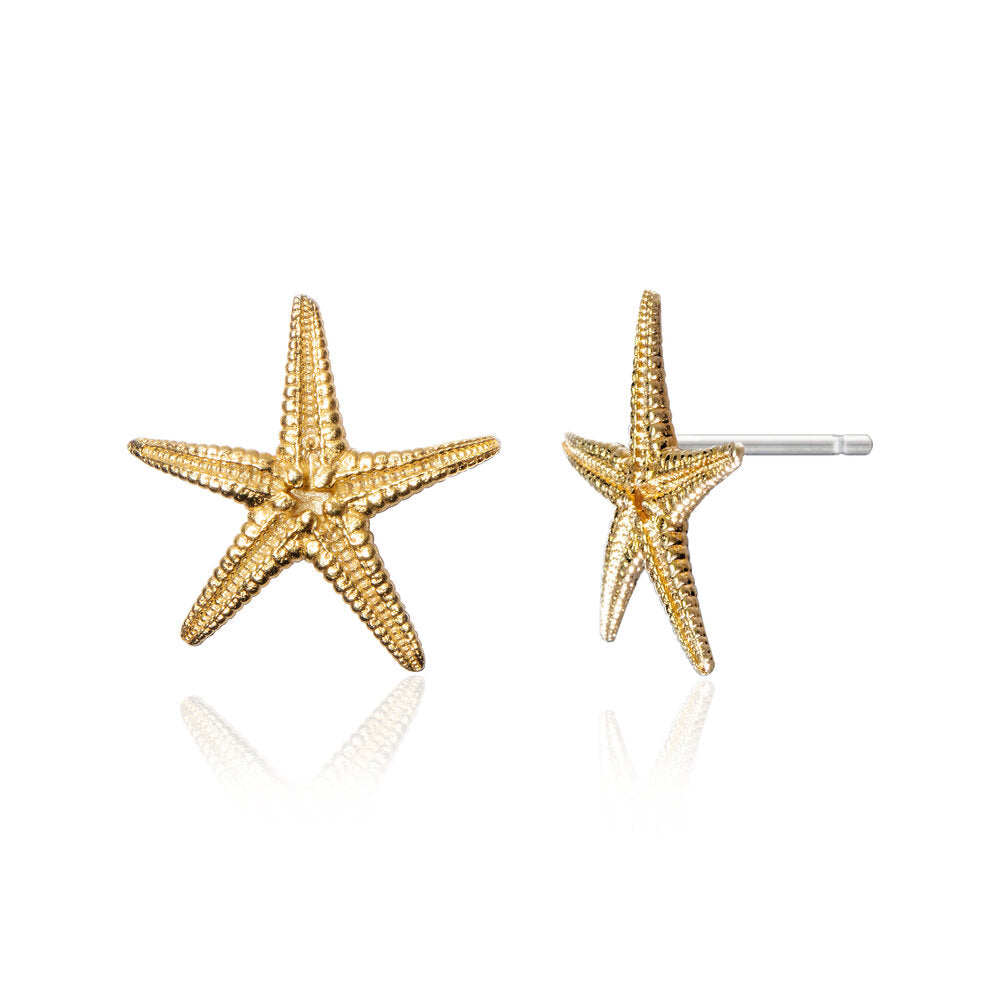 Starfish Stud Earrings