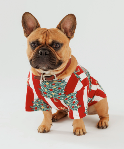 Christmas Pet Shirt
