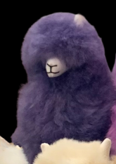Alpaca - 6 inch Purple