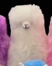 Alpaca - 6 inch White